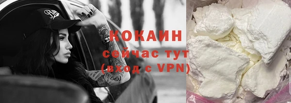 шишки Кулебаки