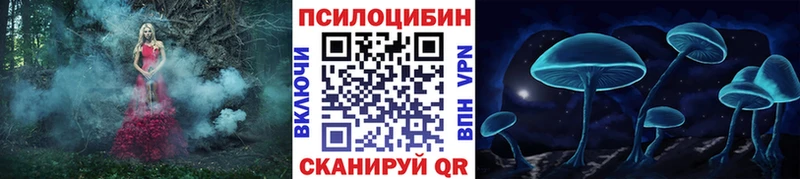продажа наркотиков Приозерск Галлюциногенные грибы Psilocybe